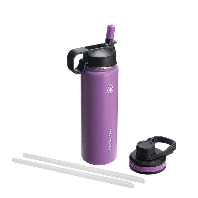 ThermoFlask زجاجة ثيرمو فلاسک مع غطاء شرب وغطاء قشة - زجاجة ماء معزولة من الفولاذ المقاوم للصدأ مع أغطية مانعة للتسرب - زجاجة وأغطية قابلة لإعادة الاستخدام آمنة في غسالة الصحون - زجاجة متينة، 2 قشة و2 غطاء - 24 أونصة، برقوق - Image 1