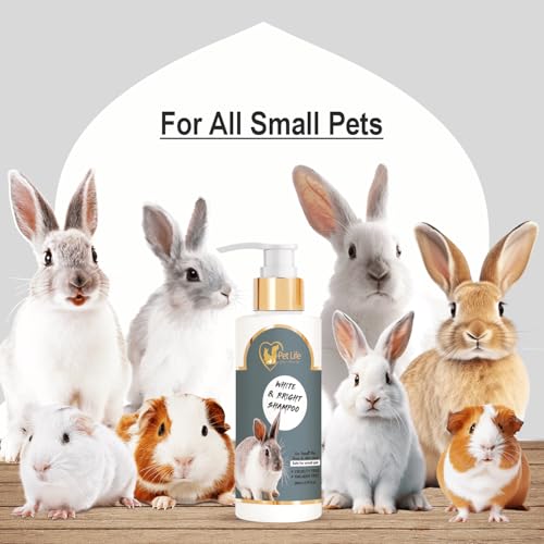 PETLIFE Pet Life Pure Organic White and Bright Pet Shampoo for Small Pets, Rabbits & Kitten - Healthy Shiny Coat | Nourishing Hair & Body Wash - Safe & Effective Friendly Formula for All Small Breed –200 Ml - Image 5