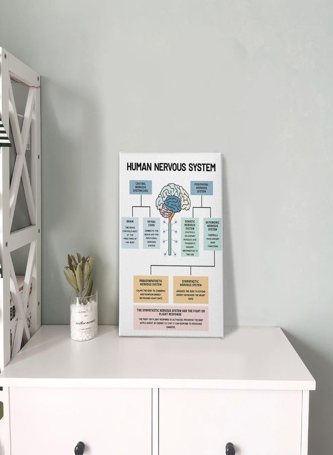 PHAMTE Human Nervous System Mental Health Wall Art,Brain Anatomy and Psychology Art Poster Print Framed Canvas Painting Artwork For Social Worker Therapist Counseling Office Decor(11x14 Inch) - Image 4