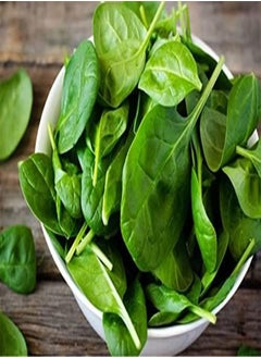 200 Seeds Green Spinach Spinacia oleracea Seeds Turkana Organic American Spinach Seeds Vegetable Seeds