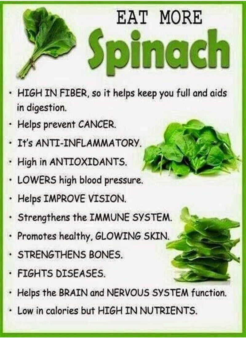 GGOOT - 200 Seeds Green Spinach Spinacia oleracea Seeds Turkana Organic American Spinach Seeds Vegetable Seeds - Image 1