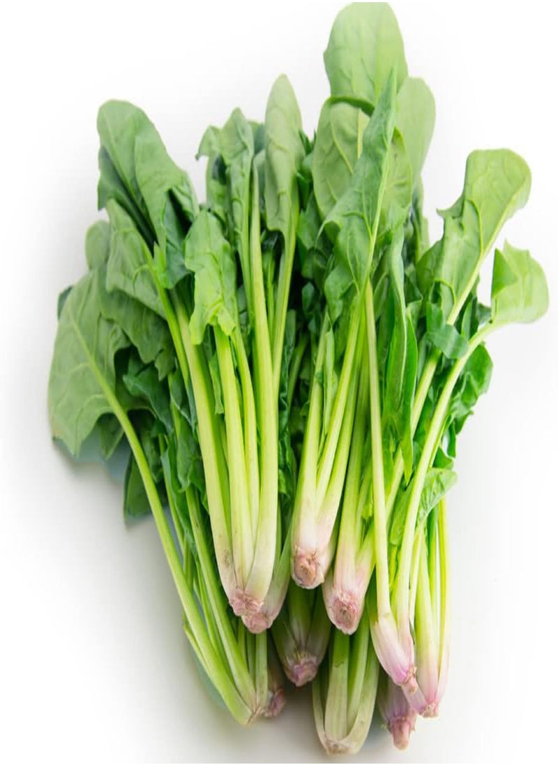 GGOOT - 200 Seeds Green Spinach Spinacia oleracea Seeds Turkana Organic American Spinach Seeds Vegetable Seeds - Image 1