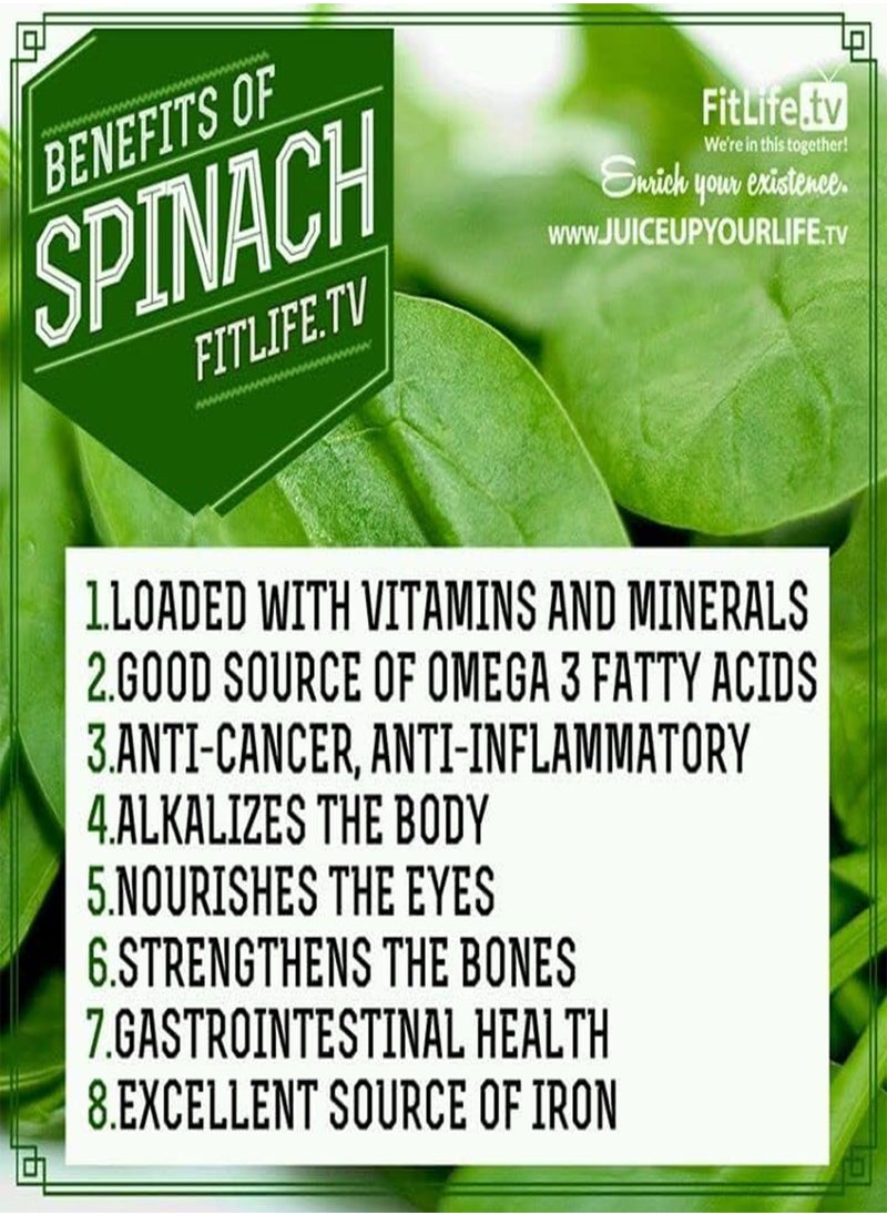 GGOOT - 200 Seeds Green Spinach Spinacia oleracea Seeds Turkana Organic American Spinach Seeds Vegetable Seeds - Image 1