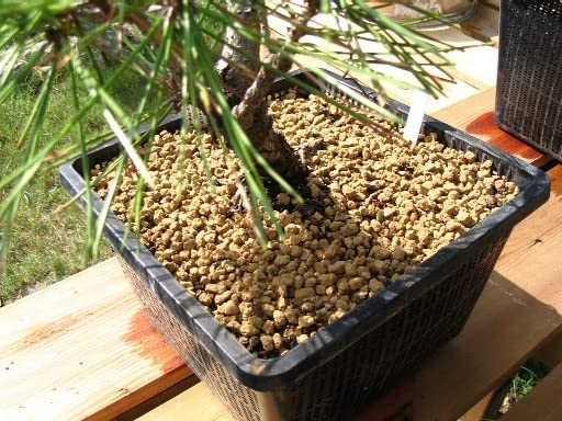 VAYINATO® Shizuka Akadama Japan Soil for Bonsai, Succulant and Aquarium 2.5 L Small 2~ by Pezlifeworld - Image 2
