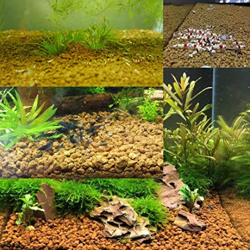 VAYINATO® Shizuka Akadama Japan Soil for Bonsai, Succulant and Aquarium 2.5 L Small 2~ by Pezlifeworld - Image 4