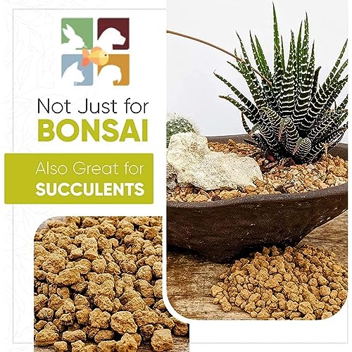 VAYINATO® Shizuka Akadama Japan Soil for Bonsai, Succulant and Aquarium 2.5 L Small 2~ by Pezlifeworld - Image 3