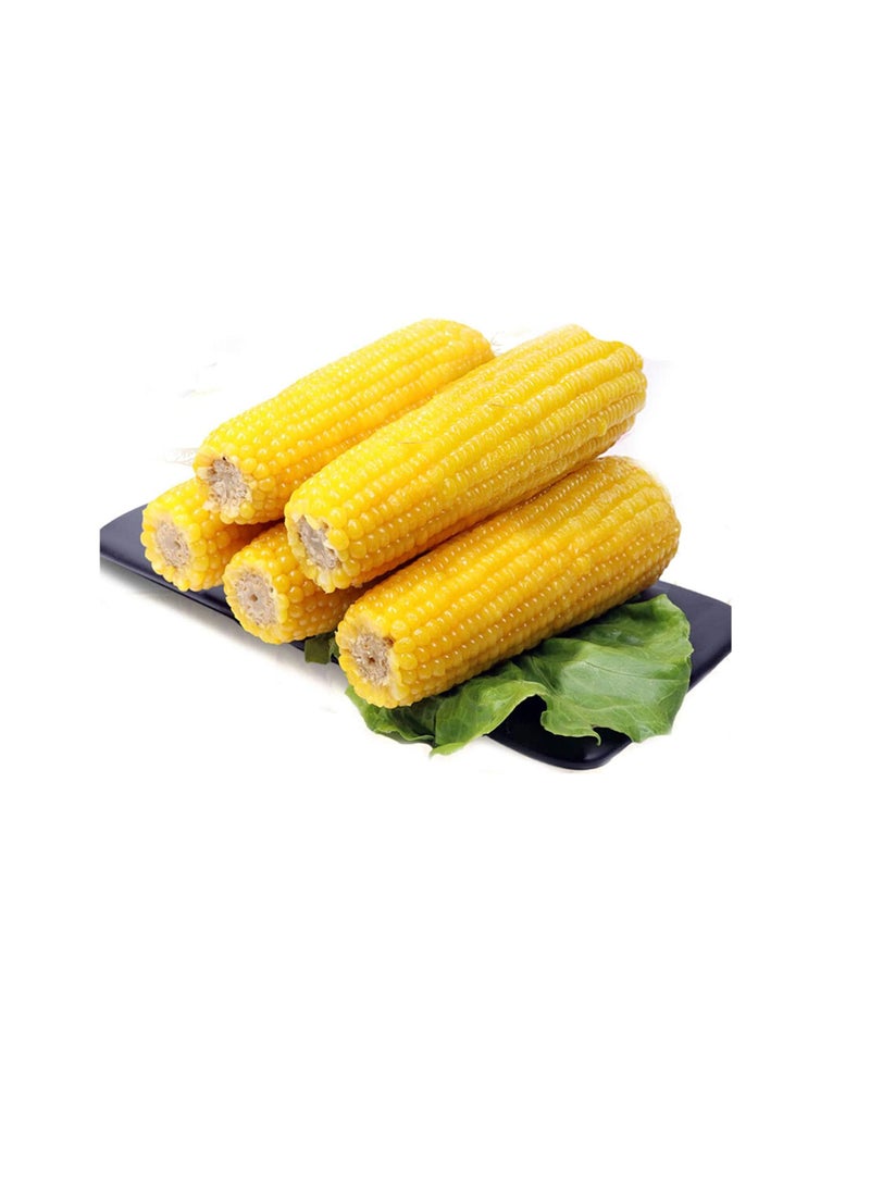 Generic 30pcs Corn Seeds Natural High Germination Rate Sweet Delicious Waxy Corn Seeds for Greenhouse - Yellow Corn Seeds - Flower Seeds Vegetable Seeds Fruit Seeds Garden Plant Seeds  - Image 3