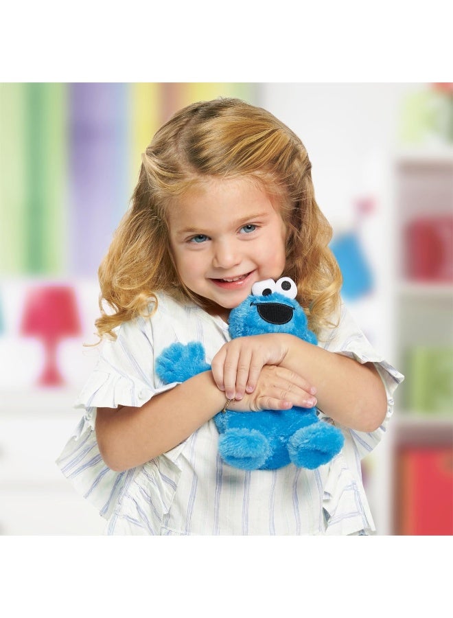 Sesame Street Friends Small Plush - Cookie Monster - Image 2