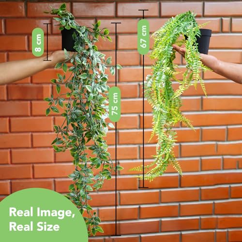 Ekhasa Nostrae Pothos Hanging Artificial Plants with Pot (Set of 2) | Persian Rattan Artificial Hanging Plants for Decor | Falling Creepers Climbers Fake Vines with Hanging Pots (Mandala, Fern) - Image 3