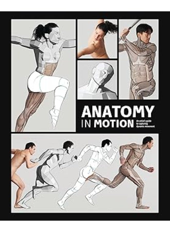 Anatomy in Motion