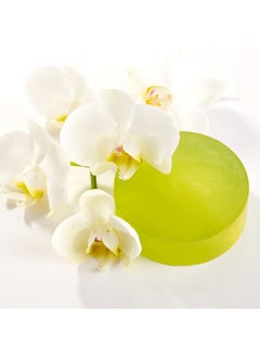 Arcona ARCONA Kiwi Cream Bar - Cleanses & Hydrates Skin with Kiwi, Aloe Extracts & Coconut. Soothes, Restores & Replenishes with Vanilla Fruit Oil - Soap Free - Vegan & Cruelty Free. Made in the USA. 4 oz.  - Image 4