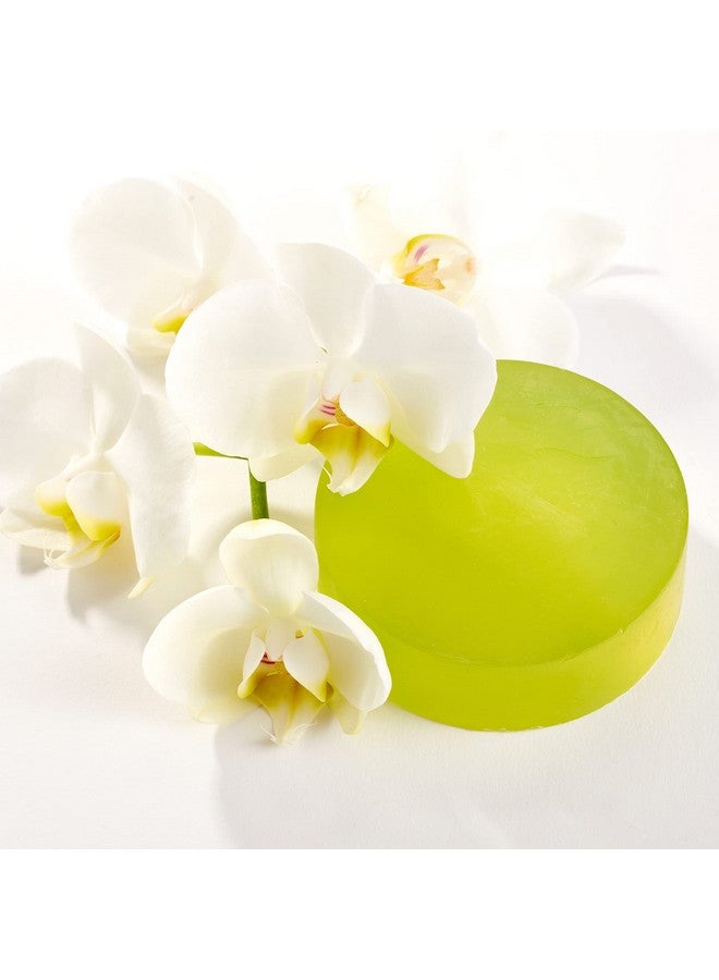 أركونا صابونة أركونا الكريمية بالكيوي - تُنظّف البشرة وتُرطّبها بخلاصة الكيوي والصبار وجوز الهند. تُهدّئ البشرة وتُجدّدها وتُغذّيها بزيت فاكهة الفانيليا. خالية من الصابون، نباتية وخالية من القسوة. صُنع في الولايات المتحدة الأمريكية. 113 مل. - Image 4