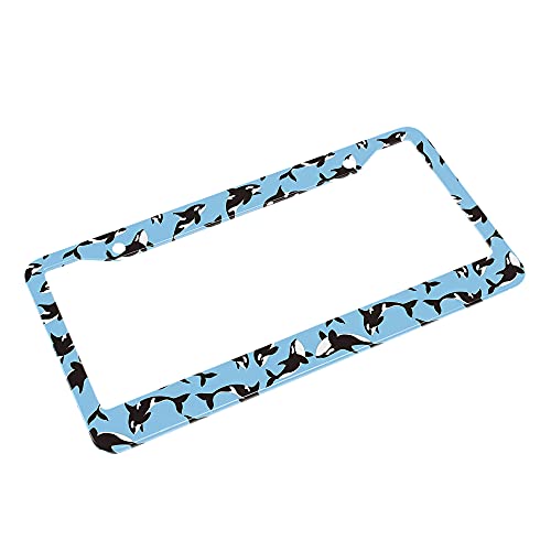 Beabes Killer Whales Pattern License Plate Frame Black and White Animal License Plate Holder Blue Car Tag Frame License Plate Cover Car Accessories 2 Holes Novelty Auto Car Tag Vanity Present - Image 4