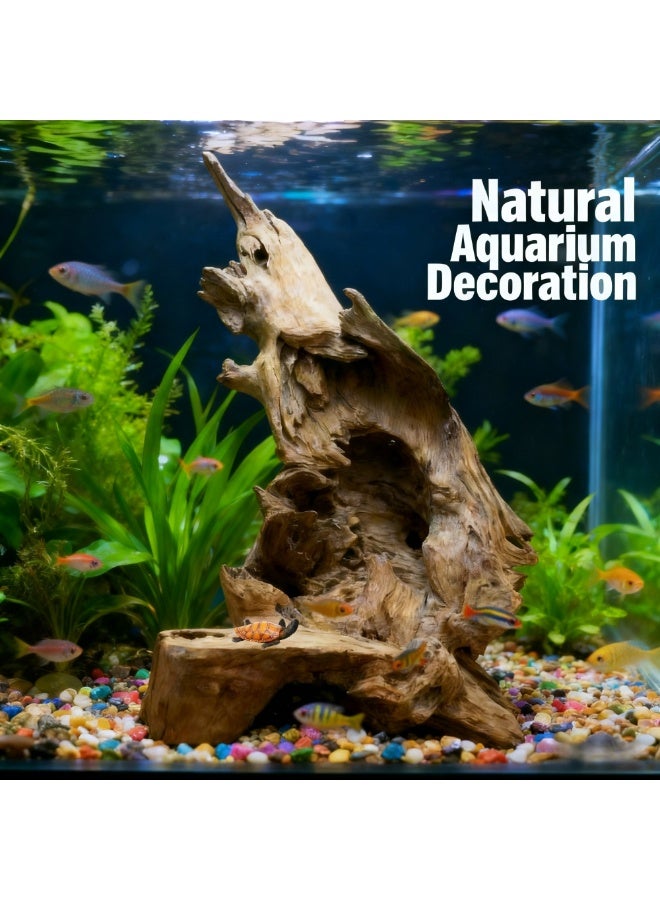 Natural Driftwood Root Decoration 60 × 35 × 25 cm Rustic Root Sculpture Aquarium & Home Décor Bonsai, Tea Table, Zen Garden & Terrarium Display Handmade Natural Wood - Image 5