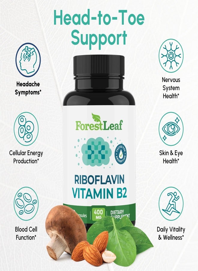 ForestLeaf Vitamin B2 Riboflavin 400mg - Energy, Skin & Cellular Health Supplement - Nervous System Support - Vitamin B 2 VIT B - Non-GMO & Gluten Free - B2 Vitamin 400mg Vegetable Capsules, 90 Count - Image 2