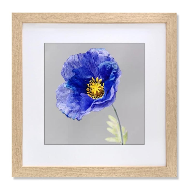 VNVNK 24x24 Frame Natural Wood Color, Perfect for 24x24 Inch Picture without Mat or 20x20 Inch Picture with Mat, Home Wall Decor Picture Frame-1 PCS - Image 1