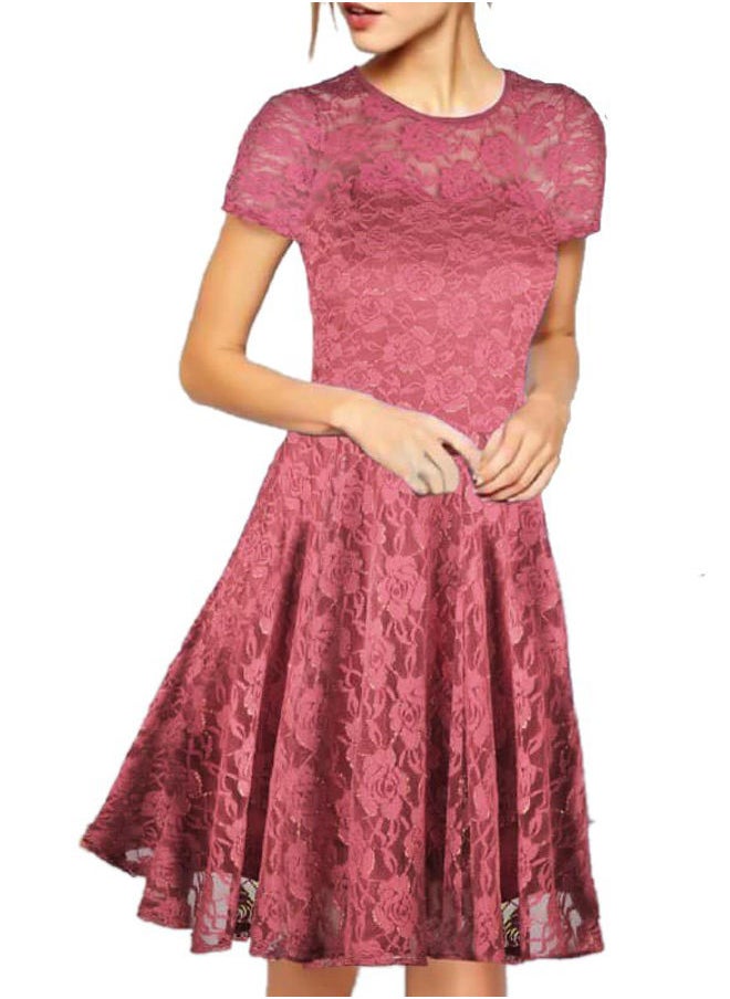 FG WOMEN`S LACE HALF SLEEVE DRESS WITH LINING 