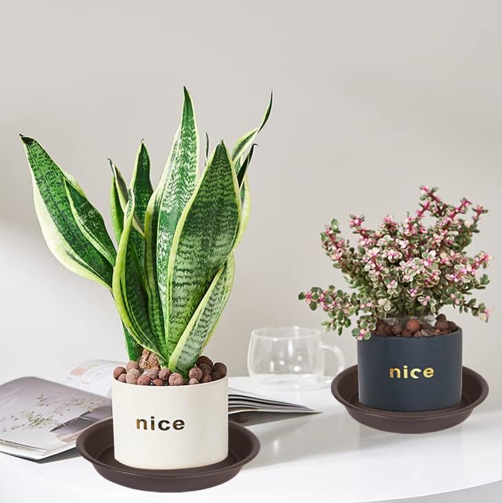 Angde 6 inch Plant Saucer, 6 Pack, Heavy Duty Plastic Flower Trays for Indoor & Outdoor, 1.1'' Height, 4.7-6.3'' Diameter, Brown - Image 4