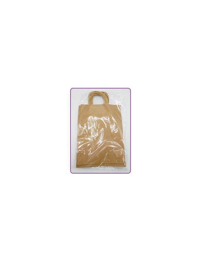 PARTY FUN Paper Gift Bag 10Pcs/Pkt 12x25x33.5Cm Brown Color  - Image 2