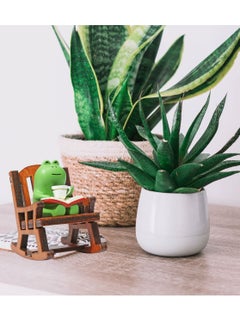 KASTWAVE Miniature Frog Sculptures Home Decor Cute Frog Figure Collectibles Home Decor Outdoor Indoor Funny Frog Statues for Yard and Garden Accessories  - Image 2