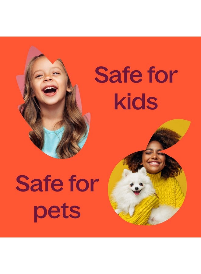 Plant Therapy Organic Frankincense Serrata Essential Oil 100% Pure, USDA Certified Organic, Undiluted, Natural Aromatherapy, Therapeutic Grade 10 mL (1/3 oz) - Image 4