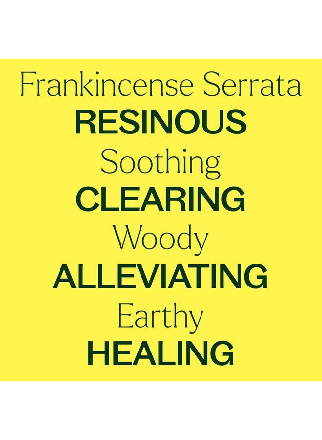 Plant Therapy Organic Frankincense Serrata Essential Oil 100% Pure, USDA Certified Organic, Undiluted, Natural Aromatherapy, Therapeutic Grade 10 mL (1/3 oz) - Image 3