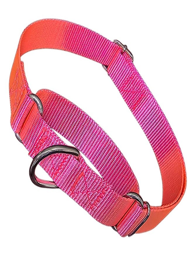cyhaen Martingale Collar for Dogs,Soft Nylon Choker Collar for Dogs,Training Escape Proof Heavy Duty Choke No Pull Collar Adjustable for Small Medium Large Pet Girl Female Dogs,Hot Pink M - Image 1