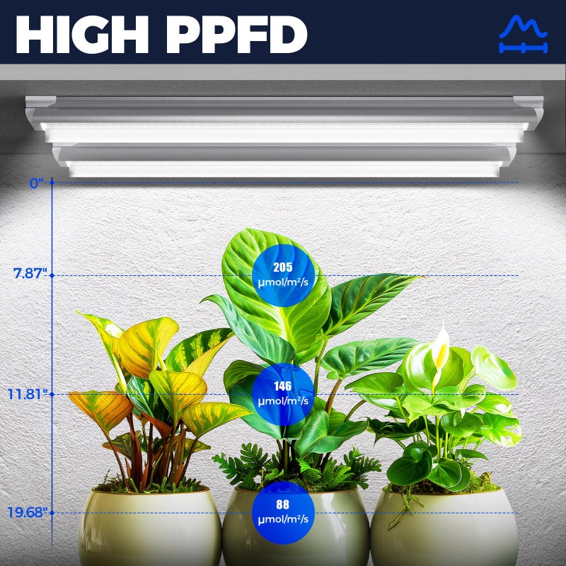 Barrina Grow Lights, 2FT 5000K White Full Spectrum Plant Growing Lamps, 144W(6 x 24W, 800W Equivalent), T8 LED Grow Light Bulbs, Plant Lights for Indoor Plants, Greenhouse, Linkable Design, 6-Pack - Image 2