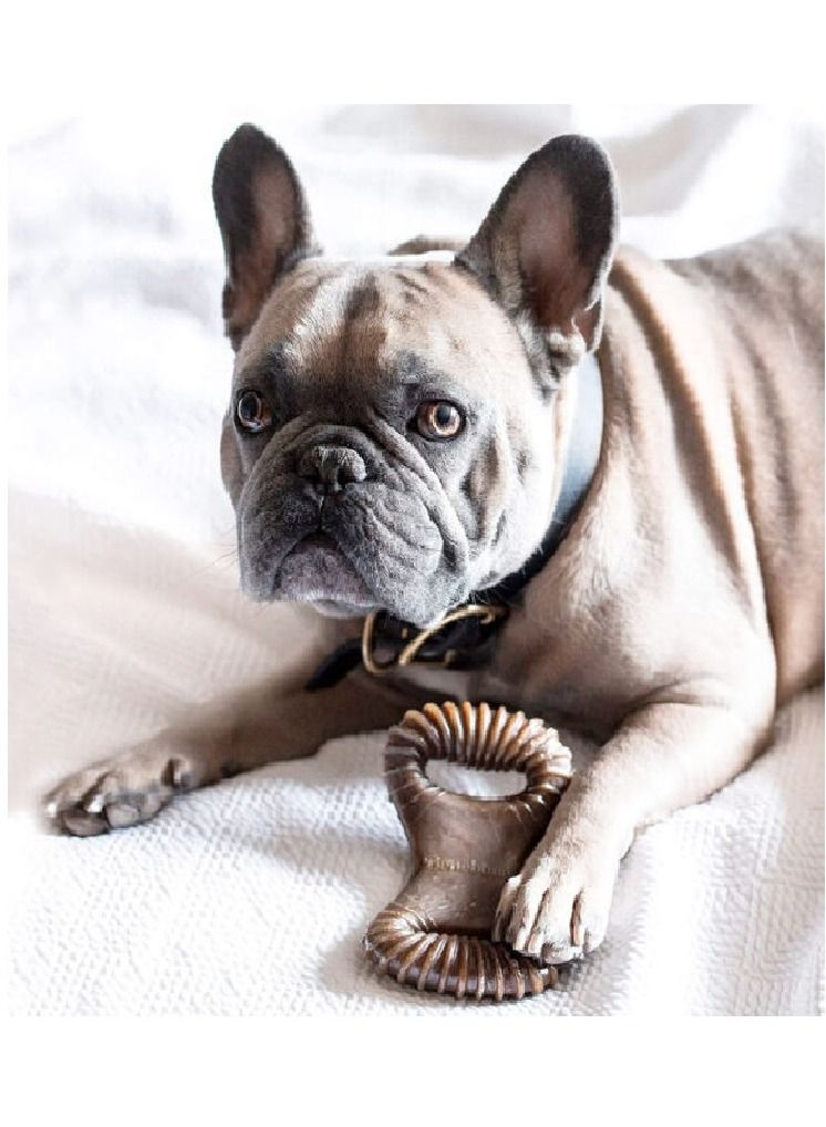 Benebone Peanut Dental Dog Chew Playing Toy Small - Image 2