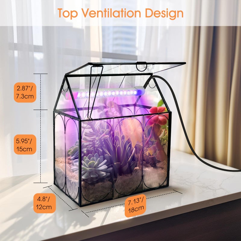 Rifny Plant Terrarium Kit with Grow Light, Rifny Small Glass Terrarium Jar with Absorbent Mat and Lid for Venus Fly Trap Succulent Live Air Plants Indoor Home Office Decor (Black, 7.1 x 4.8 x 8.8 inch) - Image 5