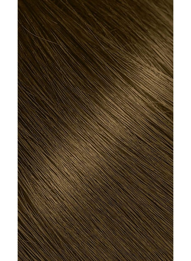 Bigen 26 Golden Brown Bigen Permanent Powder (12 Pack) - Image 3