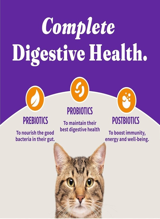 Halo Holistic Cage Free Chicken Cat Food, Healthy Grains Dry Cat Food, Complete Digestive Health, Kibble for Adult Cats, 3 lb Bag - Image 5