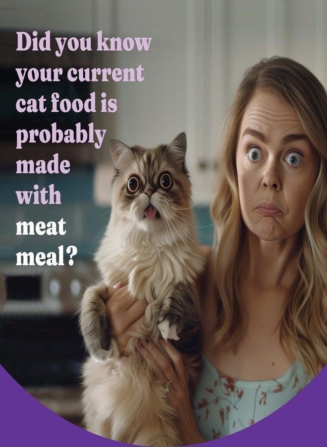 Halo Holistic Cage Free Chicken Cat Food, Healthy Grains Dry Cat Food, Complete Digestive Health, Kibble for Adult Cats, 3 lb Bag - Image 2