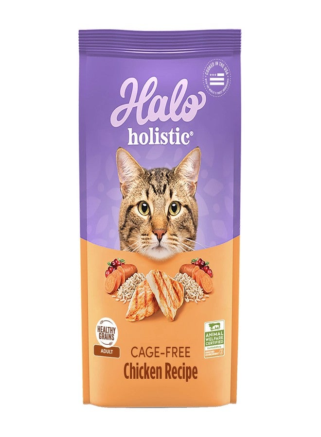 Halo Holistic Cage Free Chicken Cat Food, Healthy Grains Dry Cat Food, Complete Digestive Health, Kibble for Adult Cats, 3 lb Bag - Image 1