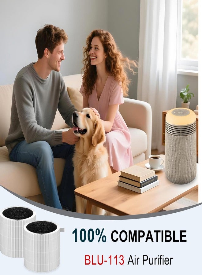Molgoc Replacement filter for Air Purifier,Compatible with Blueair 113685 Air Purifier,H13 True HEPA,2Pack. - Image 5