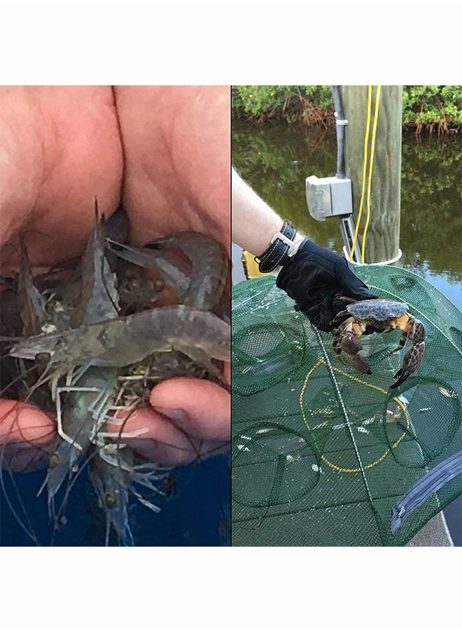 GROIC - 8 Hole Folded Fishing Net, Portable Automatic Fishing Shrimp Trap, Automatic Fishing Net Landing Trap Bait Casting Cage Fish Shrimp Minnow Crayon Fish Crab Bait Net - Image 1