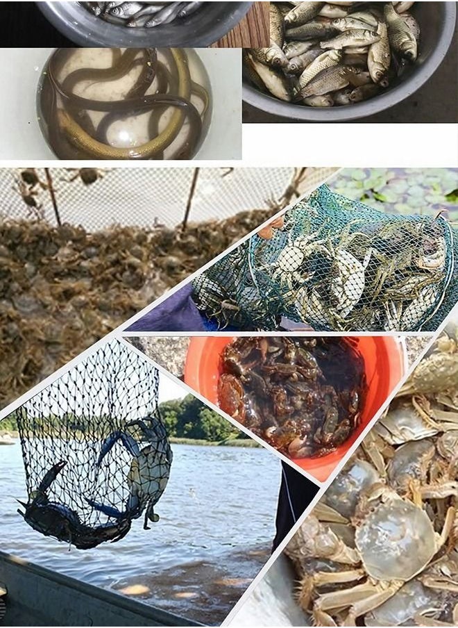 GROIC - 8 Hole Folded Fishing Net, Portable Automatic Fishing Shrimp Trap, Automatic Fishing Net Landing Trap Bait Casting Cage Fish Shrimp Minnow Crayon Fish Crab Bait Net - Image 1