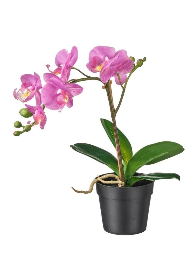 آيكيا فراكتا نبات صناعي في آنية, أوركيد بنفسجي, 9 ×30 سم - Image 1