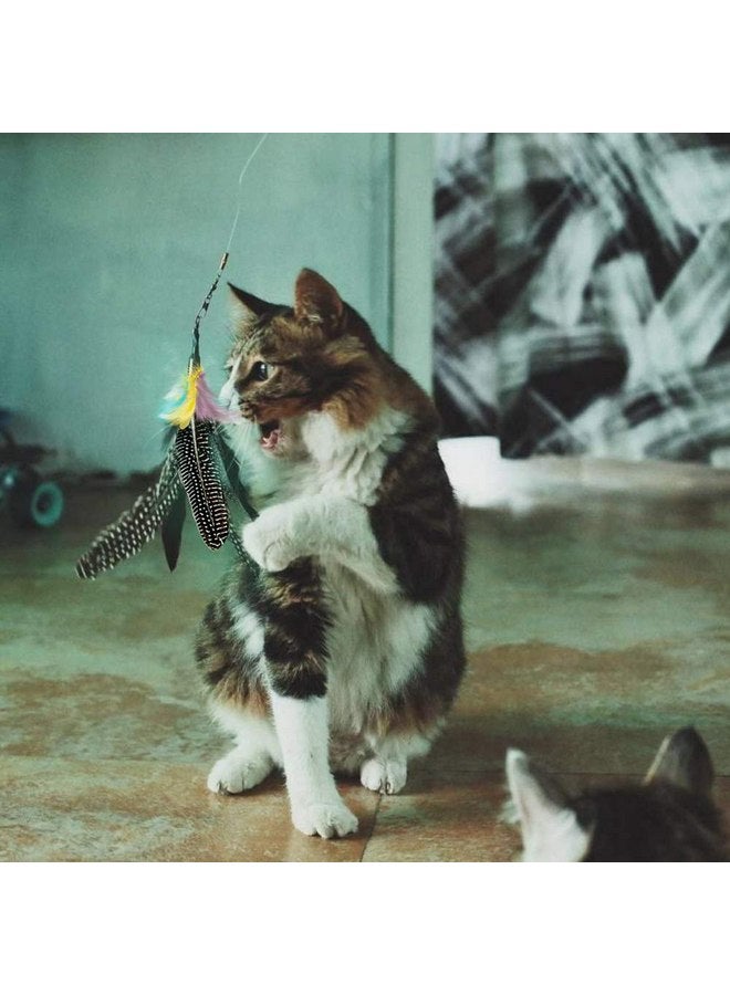 Highland Farms Select Handmade Natural Feather Cat Toy Dah Bird Refills - Interactive Cat and Kitten Toy - 6 Pack - Image 5