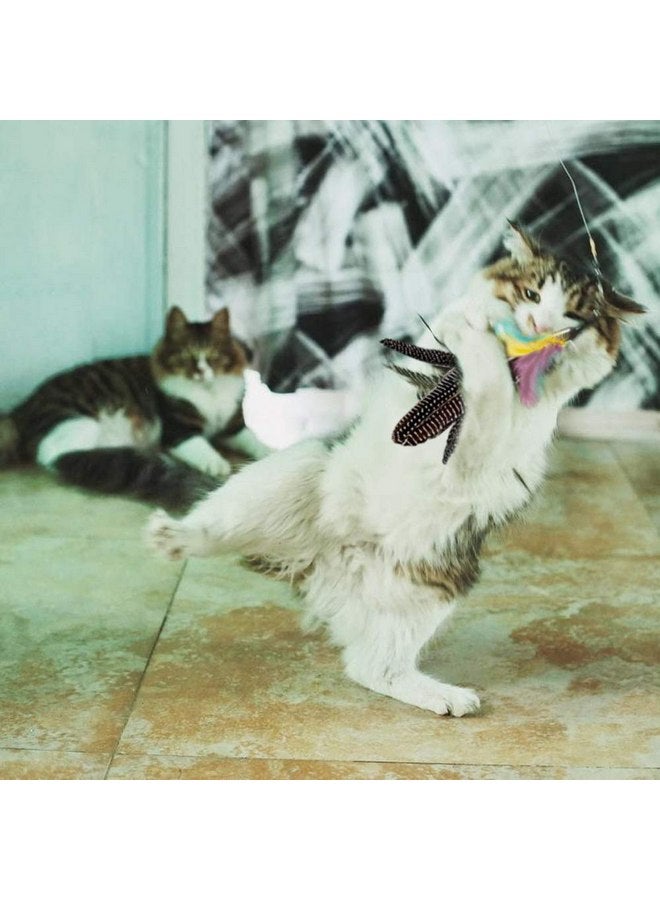 Highland Farms Select Handmade Natural Feather Cat Toy Dah Bird Refills - Interactive Cat and Kitten Toy - 6 Pack - Image 3