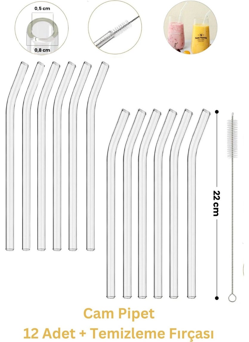 12-Piece Glass Straws and Straw Cleaning Brush, Thick Glass Straws - pzsku/Z2DB1ACCA61BA745F023EZ/45/_/1737174393/05d80edd-770d-4b90-b145-8b71113fdee5