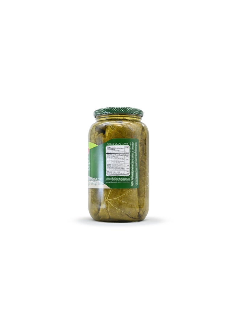 Durra Pickled grape leaves 1260 GM - Image 2