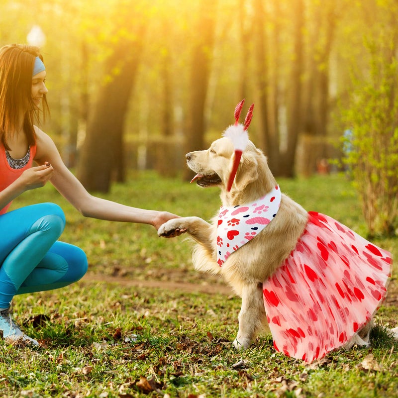 SilTriangle 9 Pcs Dog Valentines Outfit, Valentines Dog Costume Set Including Red and Pink Heart Headband Pet Bandana & Tutu Skirt for Small Medium Pet Holiday Birthday Wedding Party Outfit Accessory - Image 4