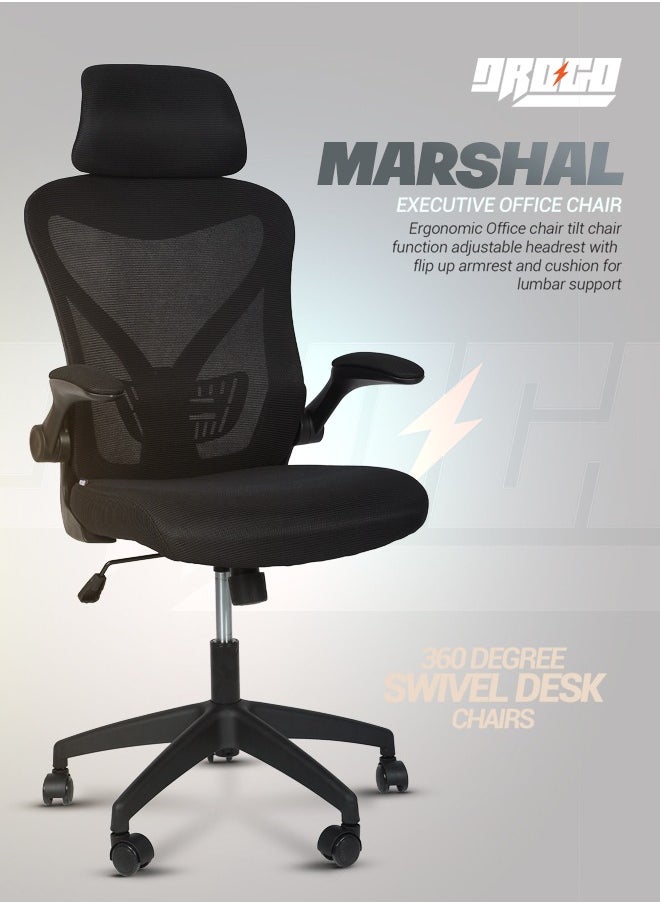 DROGO premium Ergonomic Office Chair for Work from Home, High Back Computer Chair with Mesh, Flip-up Armrest, Recline, Adjustable Seat & Lumbar Support | Mesh Chair for Office