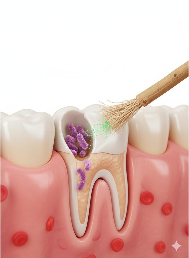 مجموعة من 12 فرشاة أسنان مسواك طبيعية 100% - أعواد قابلة للتقشير والمضغ لأسنان أكثر بياضًا، عضوية، محكمة الغلق، تحافظ على صحة اللثة والأسنان. - Image 3