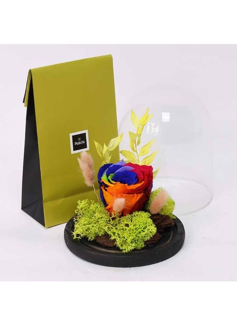 Forever Rainbow Rose In Dome With 100Gm Patchi