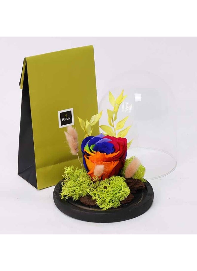 Forever Rainbow Rose In Dome With 100Gm Patchi