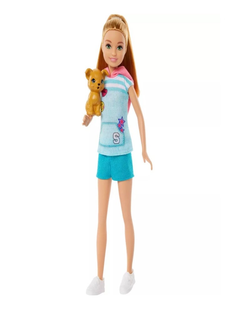 Barbie Barbie and Stacie to the Rescue Doll  - Image 1