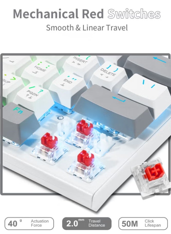 E-YOOSO Z-11 60% Wired RGB Arabic & English Mechanical Keyboard,61 Keys Compact Gaming Keyboard with Linear Red Switches (White Grey) - Image 5