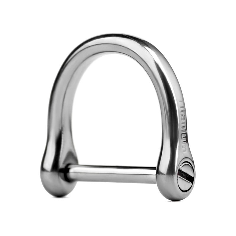 TISUR Titanium Car Key Rings,Heavy Duty D Ring Keychain Ring Keyring Keyfob Key Holder, Car Key Fob Key Chain Accessories 1 pcs (L, Polished) - Image 1